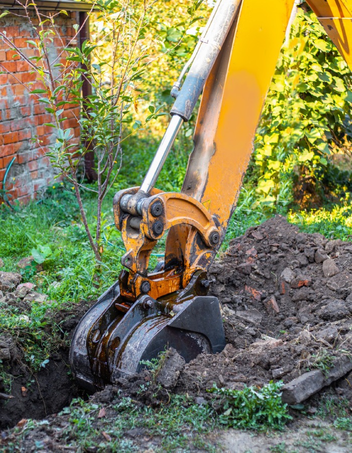 Chemin en dalles naturelles posé sur pelouse dans un jardin arboré avec massifs colorés